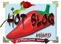 hot blog award